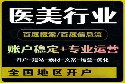 网络推广中的竞价广告：成功案例解析